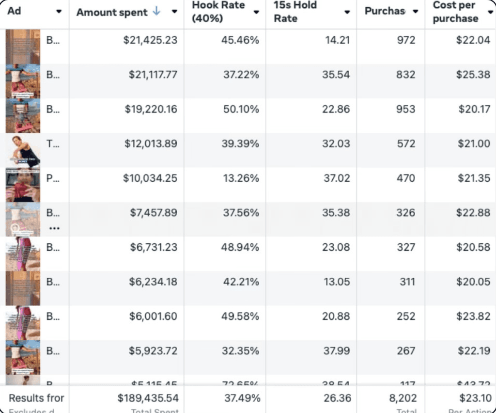 Meta Ads Manager showing $189,435 in spend, 8,202 purchases, and a $23.10 cost per purchase
