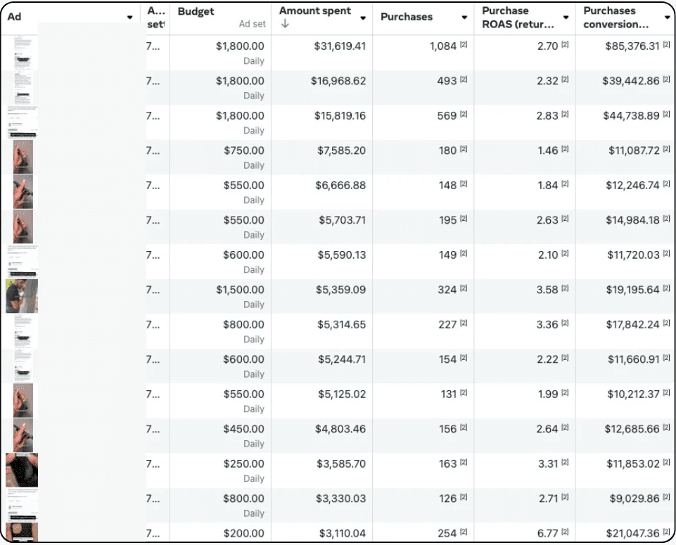 Meta Ads Manager showing profitable tech ad performance with high-volume purchases and positive return on ad spend